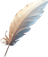 Plume