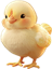 Poussin